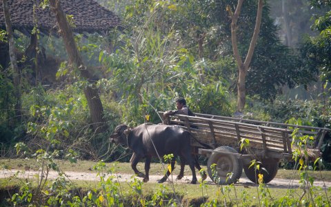 Nepal - rzut oka na Himalaje (21).jpg